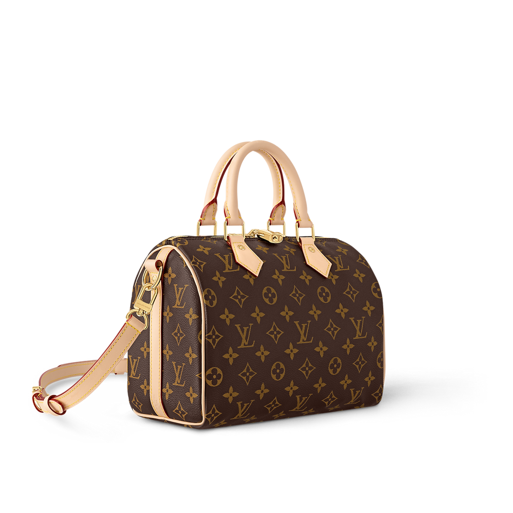 Sac Speedy LOUIS VUITTON