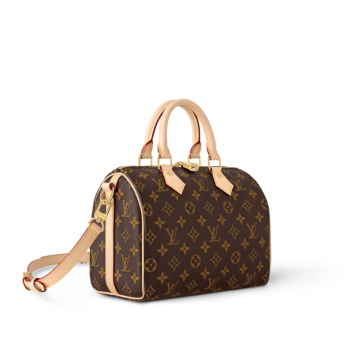 Sac Speedy LOUIS VUITTON