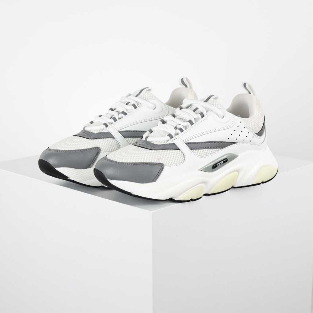 Dior B22