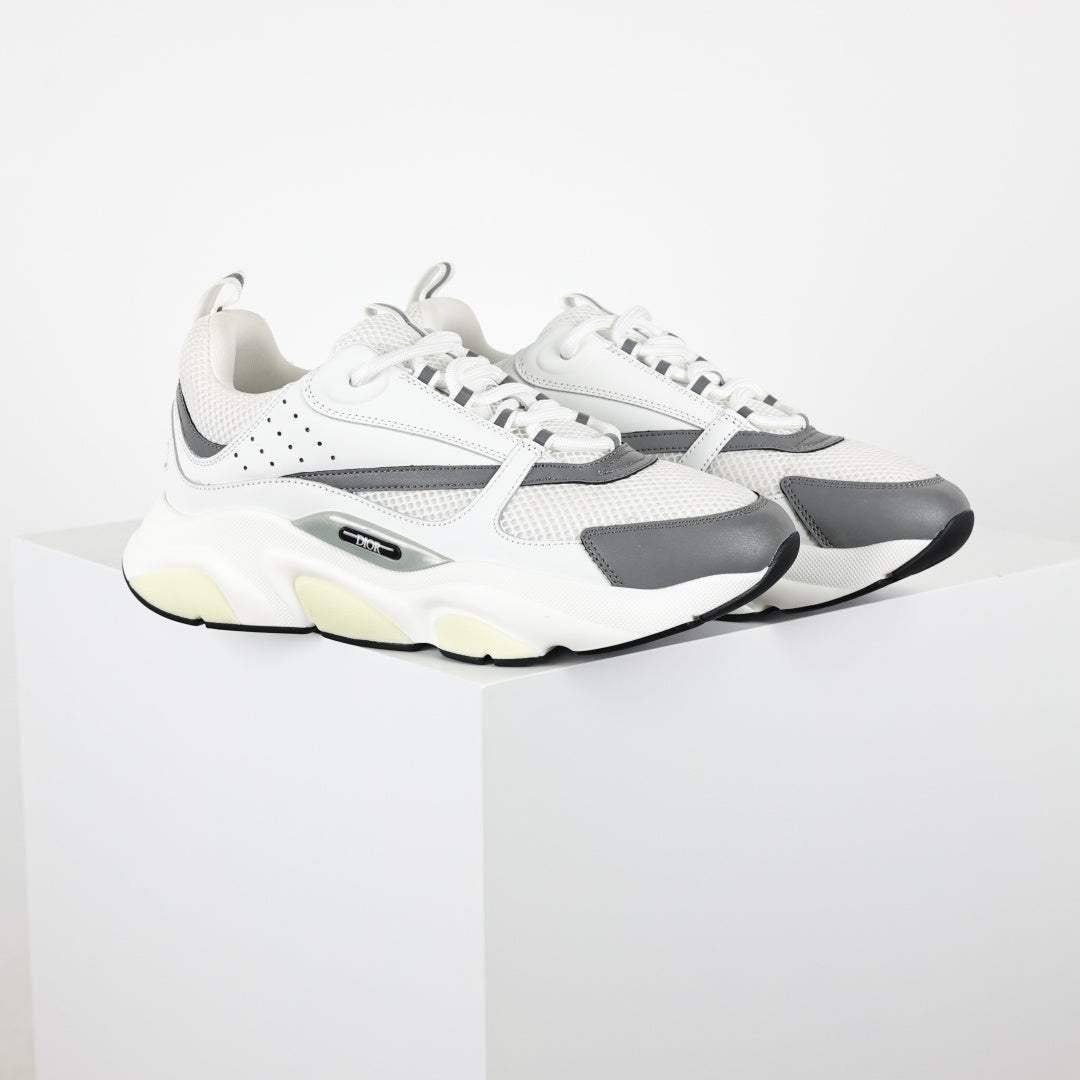 Dior B22