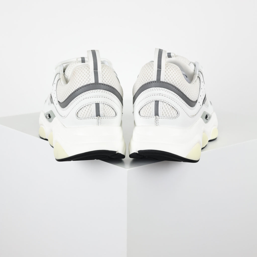 Dior B22
