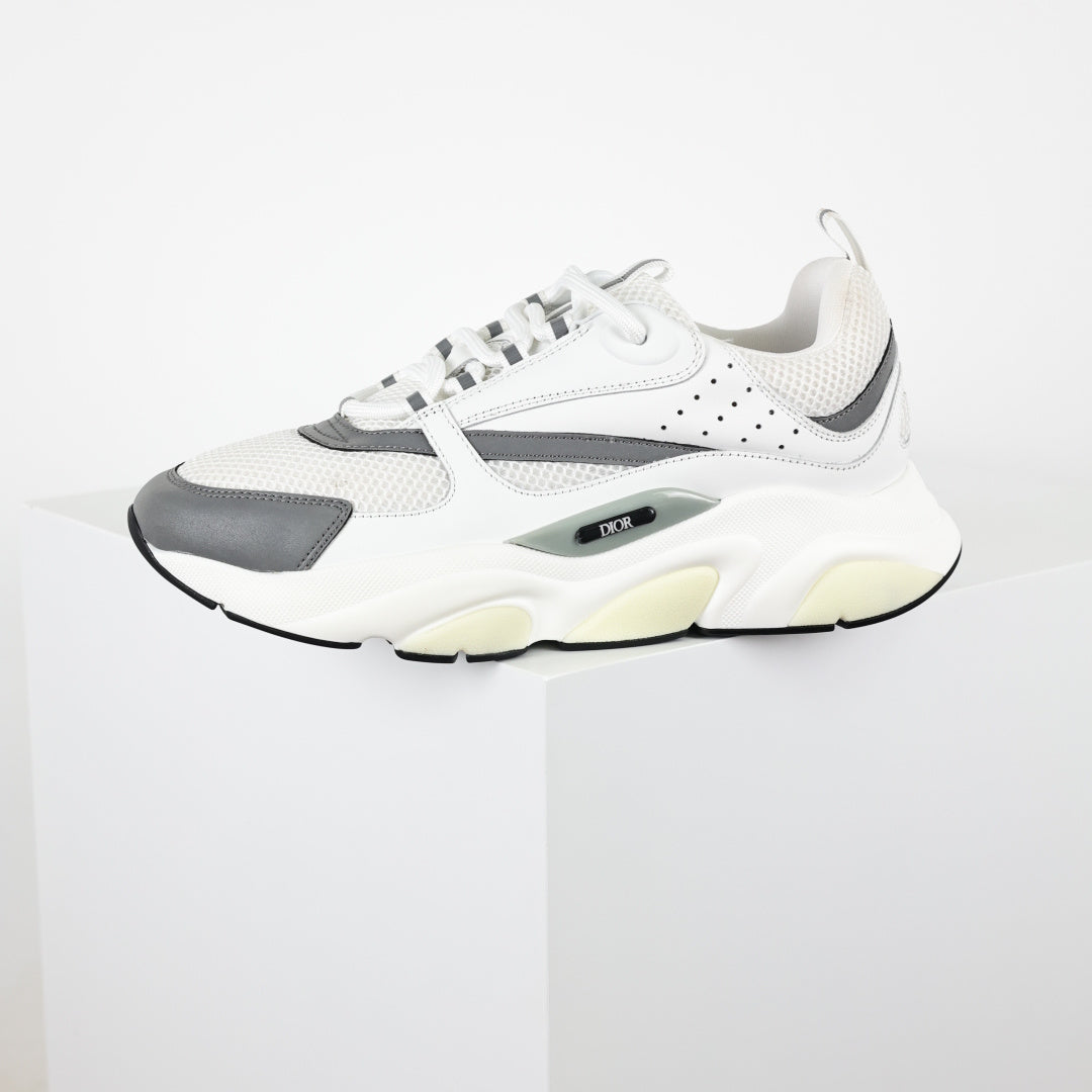 Dior B22