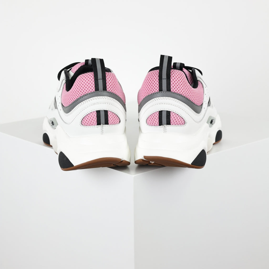 Dior B22