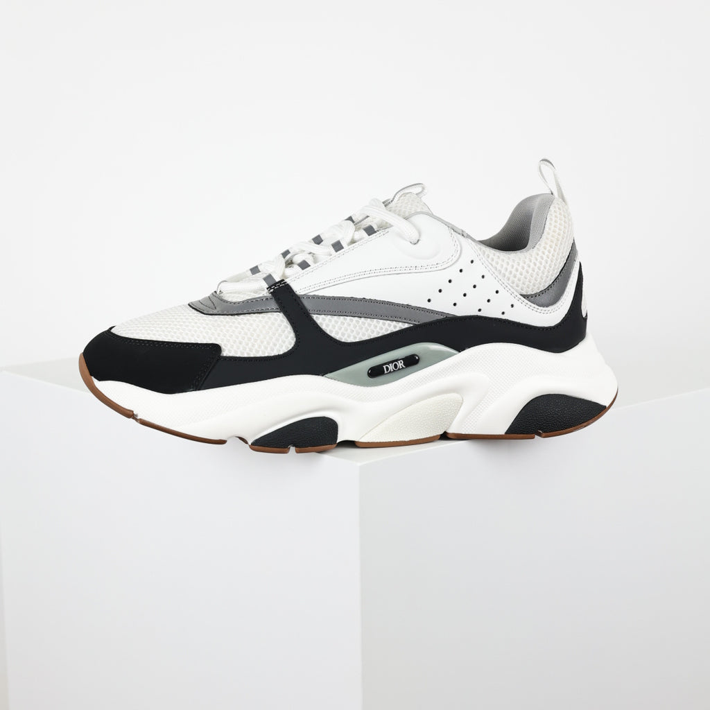 Dior B22