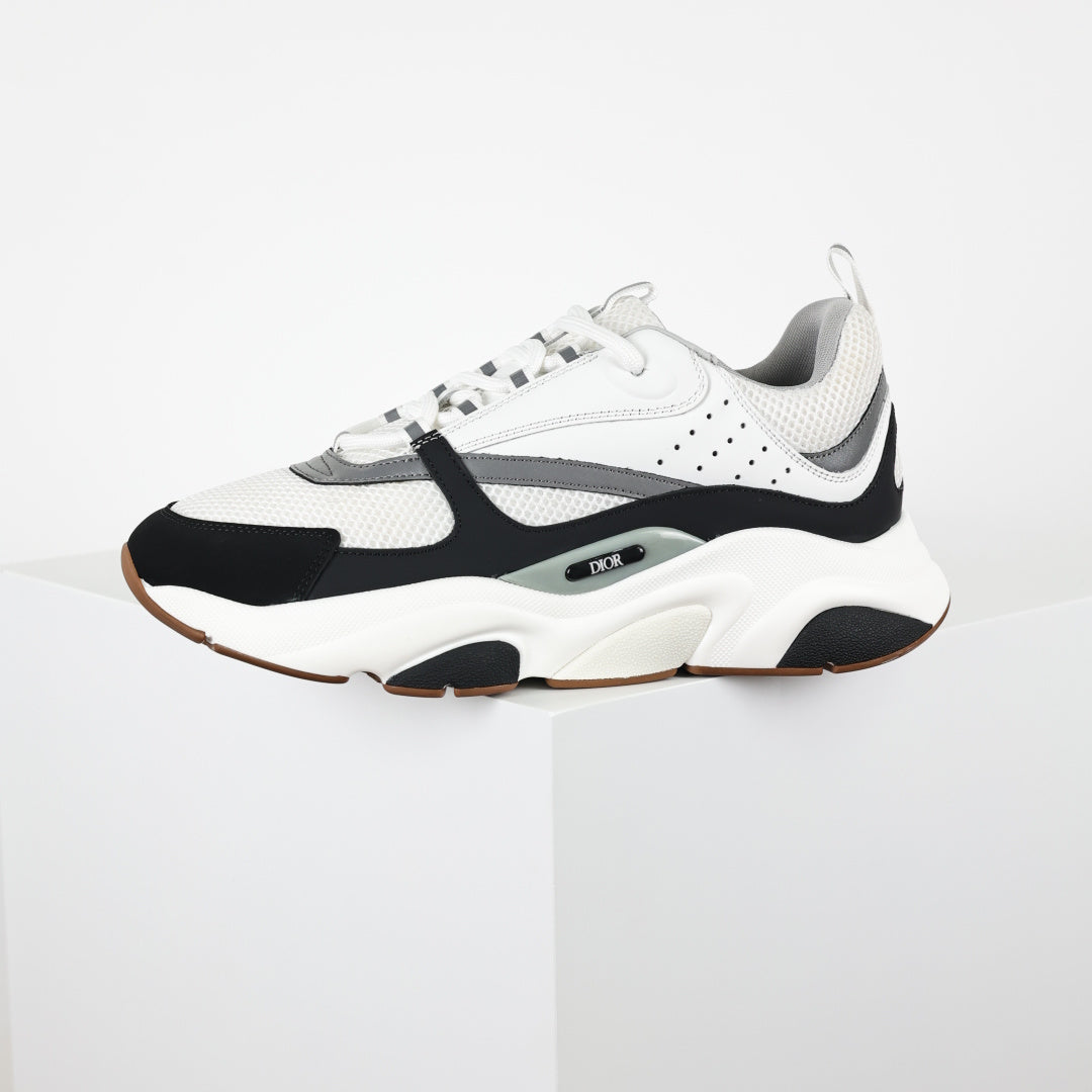 Dior B22